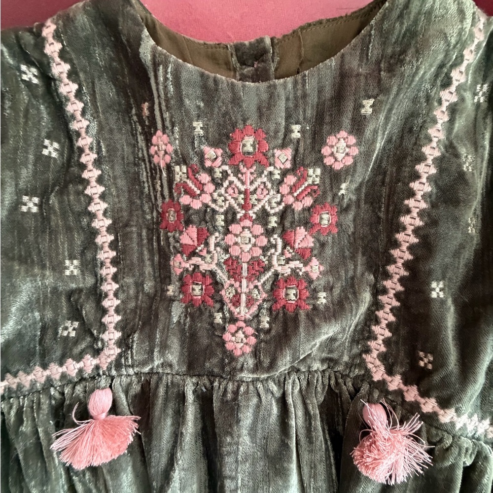 Louise Misha 3t sweetest ever crushed velvet embroidered dress - Picture 3 of 5